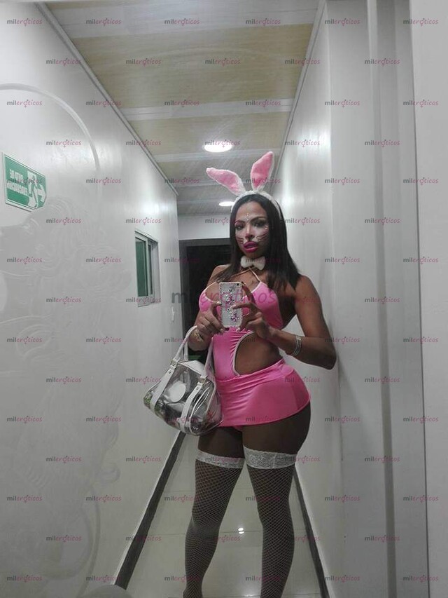 FOTOS DE RECIEN LLEGA A TU CIUDAD LLENA DE PLACER PARA TODOS