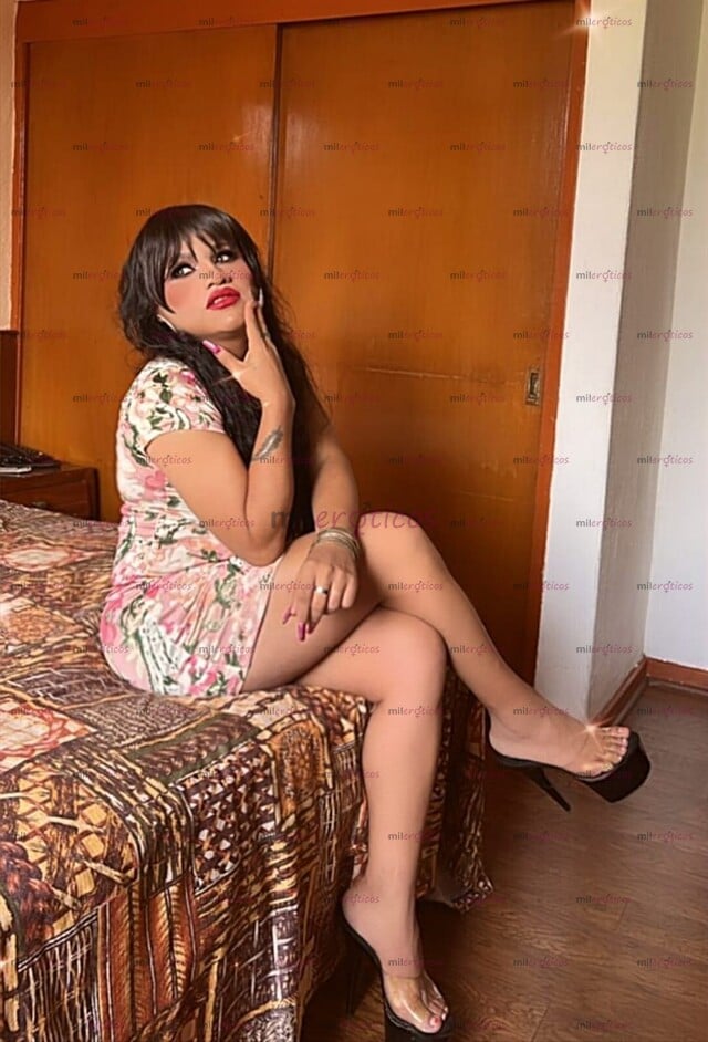 FOTOS DE SOY LA PUTA DE TUS SUEÑO EROTICOS. .. SOY RENATA CHICA TRANSEXUAL