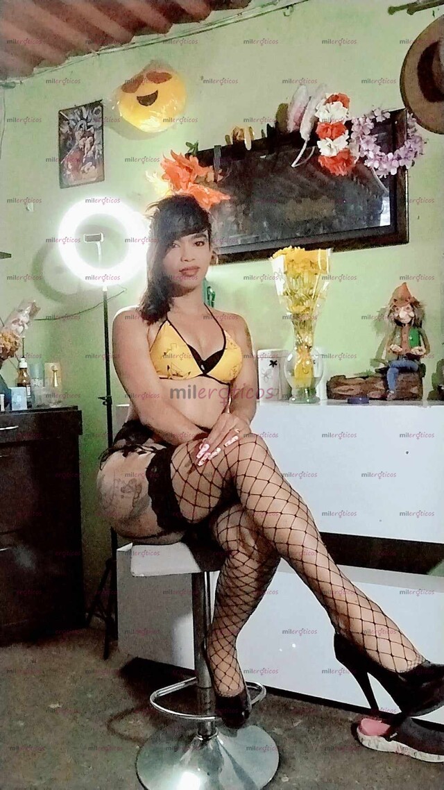 FOTOS DE LO QUE ESTABAS ESPERANDO UN VERDADERA TRANS MORENA BIEN ARRECHA