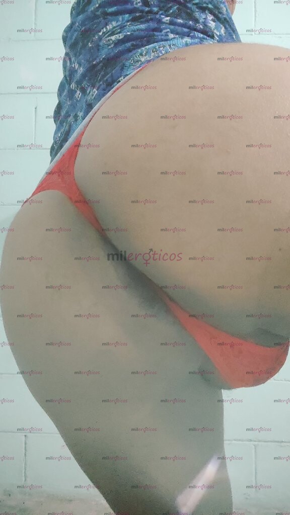FOTOS DE SANTI PASIVO SUMISO CARIÑOSO AMABLE, EDUCADO EN LA CALLE, UNA PERRA EN LA CAMA