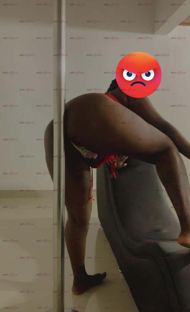 FOTOS DE HOLA MIS AMORES OTRA VES EN CARTAGO LA MÁS PERRA