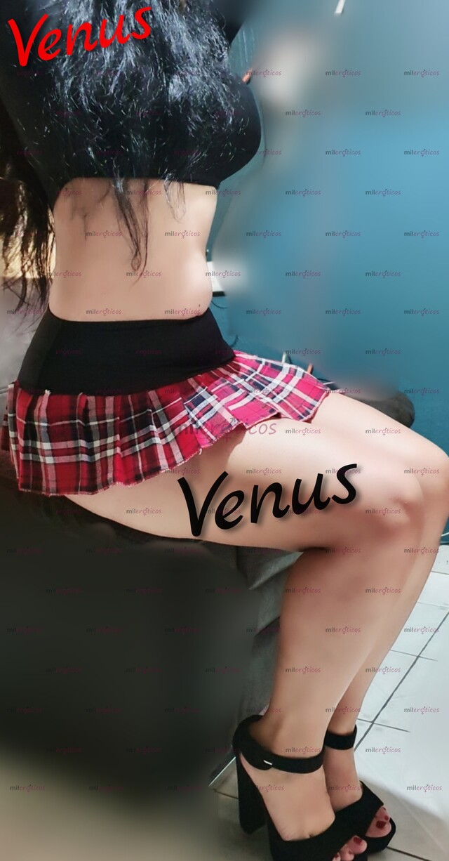 FOTOS DE VENUS, DISPONIBLE CLAIENTE Y COMPLACIENTE DEJATE EMBRUJAR X MIS ENCANTOS