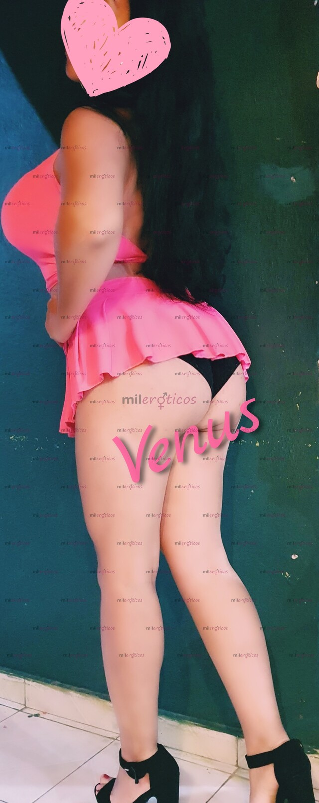 FOTOS DE VENUS ,UNA PROFECIONAL TETONA SEXIE Y MUY CALIENTE CONOCEME