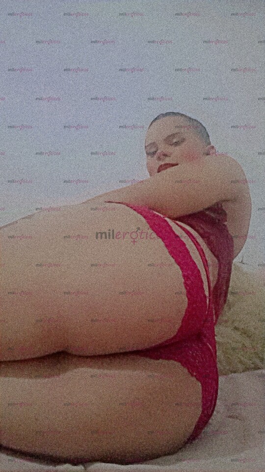 FOTOS DE HOLA ME LLAMO KATERINE SOY UNA PERRITA EN BUSCA DE SU DOMADOR