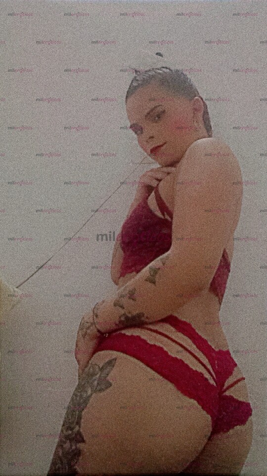 FOTOS DE HOLA ME LLAMO KATERINE SOY UNA PERRITA EN BUSCA DE SU DOMADOR