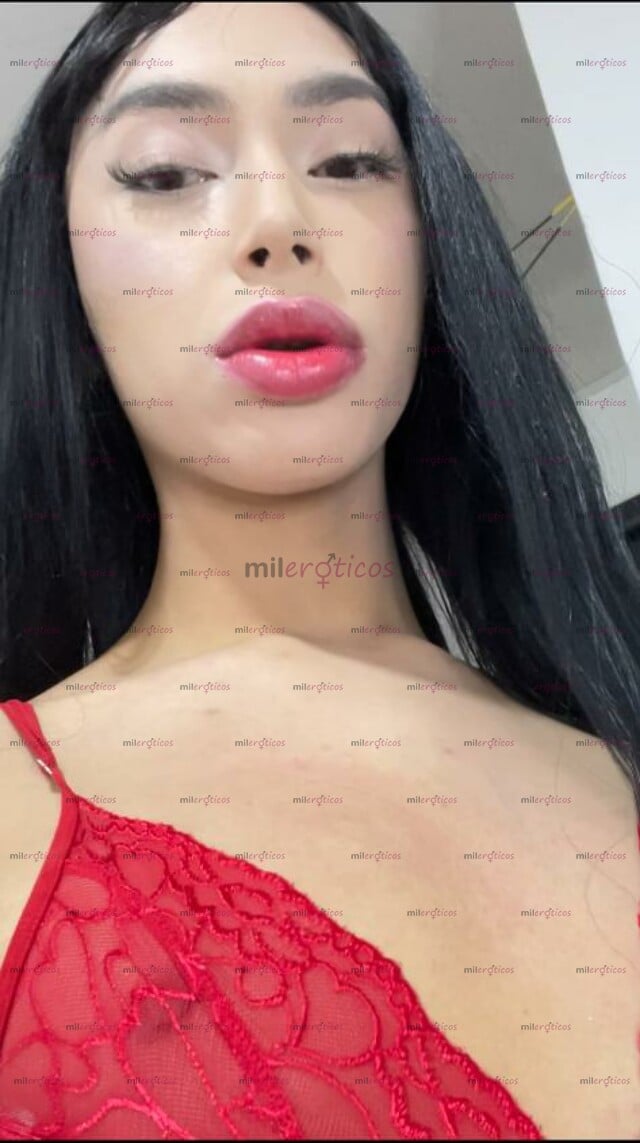 FOTOS DE DOMICILIO FEMBOY ORAL AL NATURAL XXX, BELLEZA LATINA ,PELINEGRA