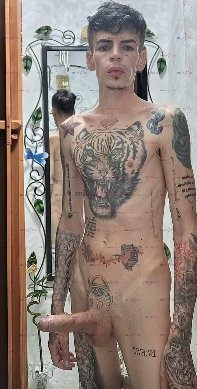 FOTOS DE SERIO FLACO ACXTIVO BLANCO TATUADO VENTA RICOS VIDEO CASERO Y VIDEO LLAMADAS