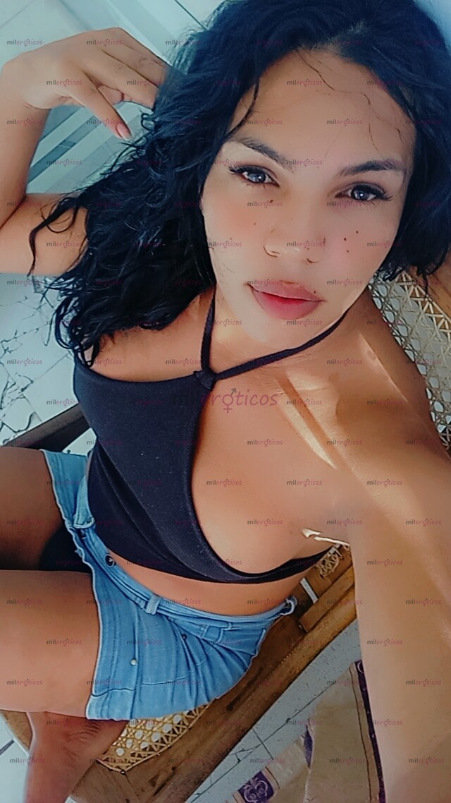 FOTOS DE TU COMPAÑÍA IDEAL VERSÁTIL Y COMPLACIENTE