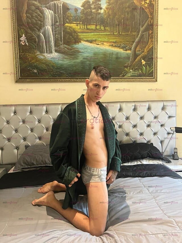 FOTOS DE POLLO DELGADO NUEVO SERIO EDUCADO DISPUESTO ATENTO