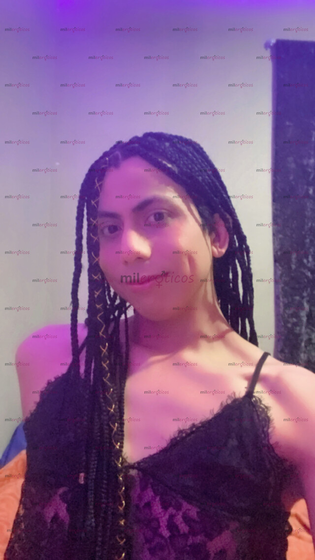 FOTOS DE TRANS HERMOSA , MORENA Y PUTA EN TU CIUDAD