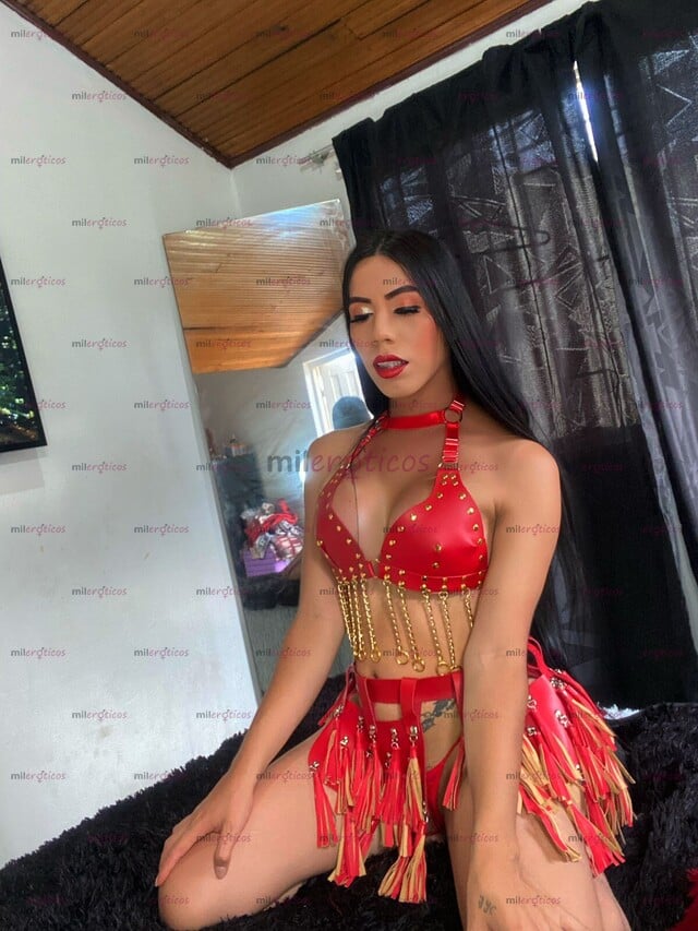 FOTOS DE ÁLAMOS NORTE ASHLY MODELO TRANS DE LUJO PARA HOMBRE SOLVENTES DE BUEN GUSTO