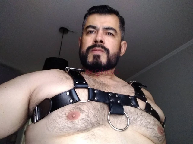 Ofrezco mas de una hora de sexo con trato de pololos que incluye besos con lengua caricias sexo oral sin condon morbos beso negro 69 y penetracion con...