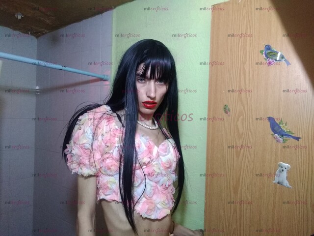 FOTOS DE JUVENTUD 19 AÑOS, CHICA TRANS, SEXY , DELGADA, HAGO UN SEXO MUY DELICIOSO PAPI.