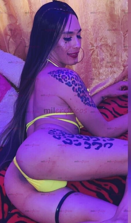 FOTOS DE EN CUBA DISPONIBLE LA 24HORAS CHICA TRANS QUE LE GUSTA LA FIETA DE DULCES