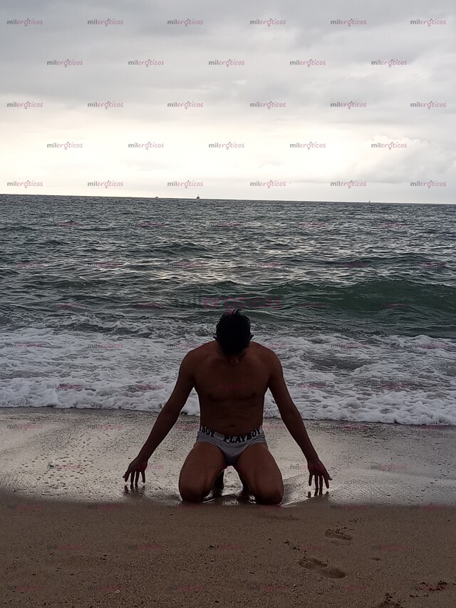 FOTOS DE SINGLE BULL CALIENTE, EN MAZATLÁN HETEROSEXUAL