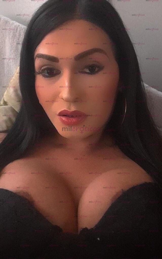 FOTOS DE QUIERES VER UNA VERDADERA PERRITA SEXUAL EN TU CAMA VEN AMI APTO