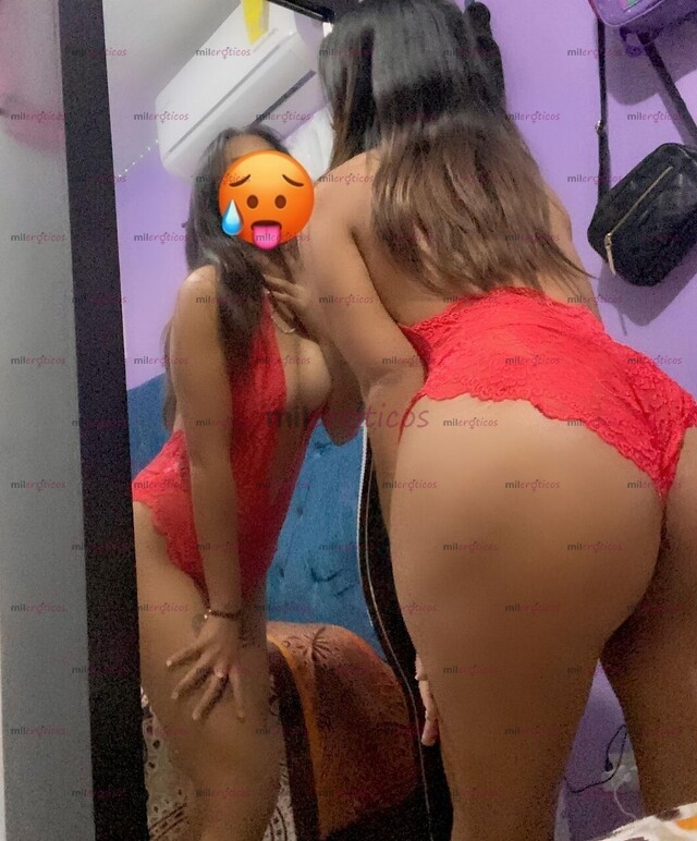 FOTOS DE PERRA BARATA DE 100 PESOS EN ADELANTE TE DESLECHARE