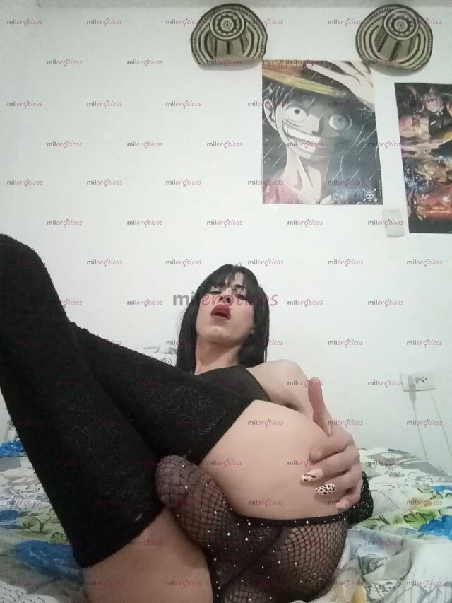 FOTOS DE GRANDO COMO EL BURRO LECHERA COMO LA VACA