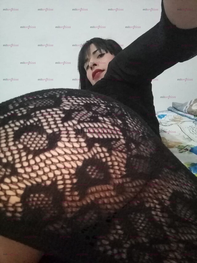 FOTOS DE GRANDO COMO EL BURRO LECHERA COMO LA VACA