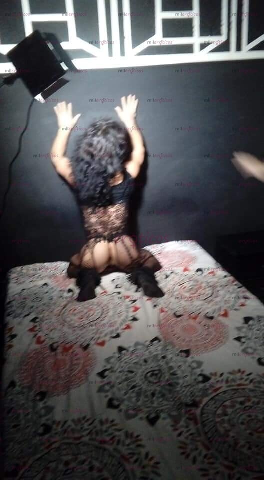 FOTOS DE SOY LA PERRITA MÁS PEQUEÑA TRAVIEZA ARDIENTE CARIÑOSA HAGO REALIDAD TUS FANTASIA