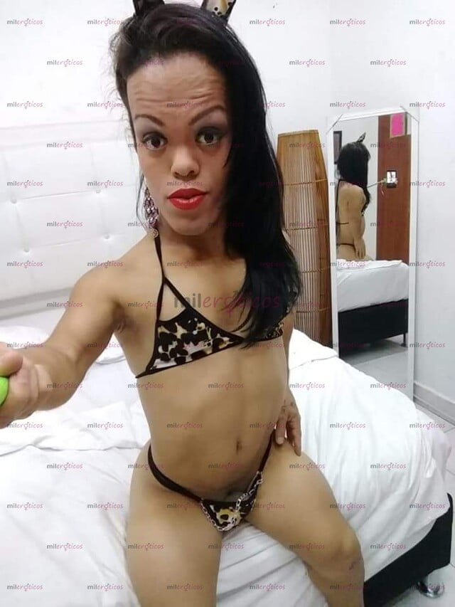 FOTOS DE SOY LA PERRITA MÁS PEQUEÑA TRAVIEZA ARDIENTE CARIÑOSA HAGO REALIDAD TUS FANTASIA