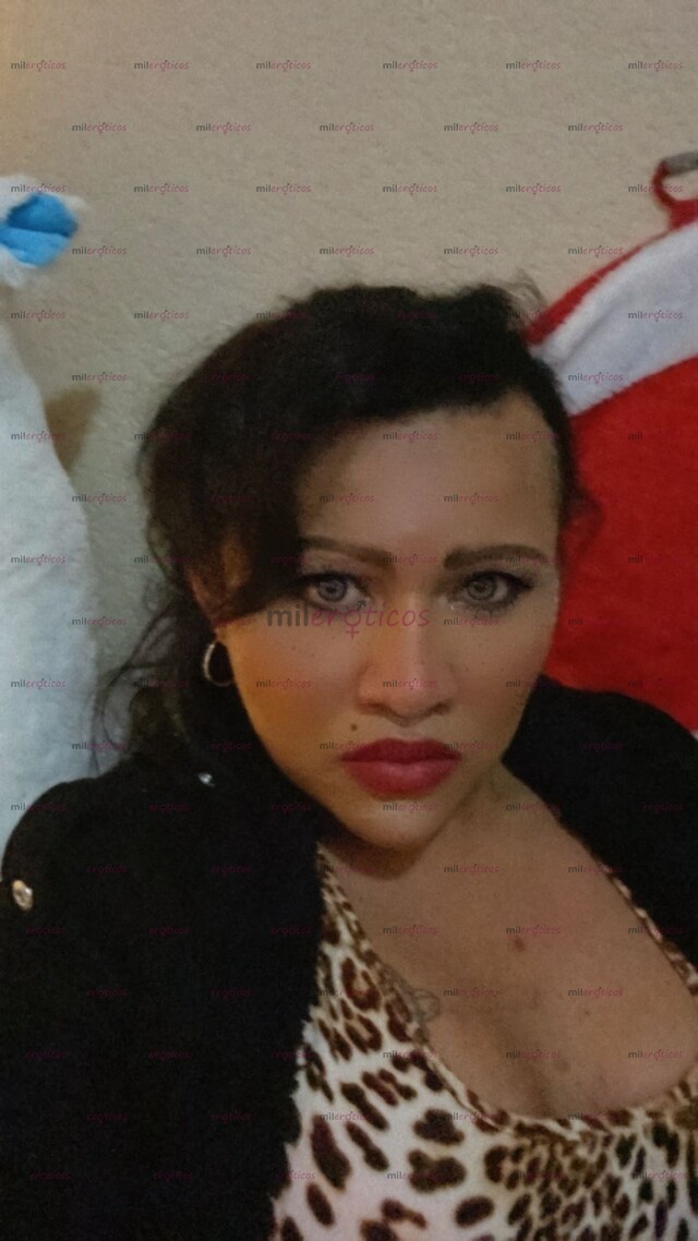 FOTOS DE ULTIMO DÍA EN TU CIUDAD SOY IRLANDA PREGUNTA PROMOCION TRANSEXUAL ATREVIDA