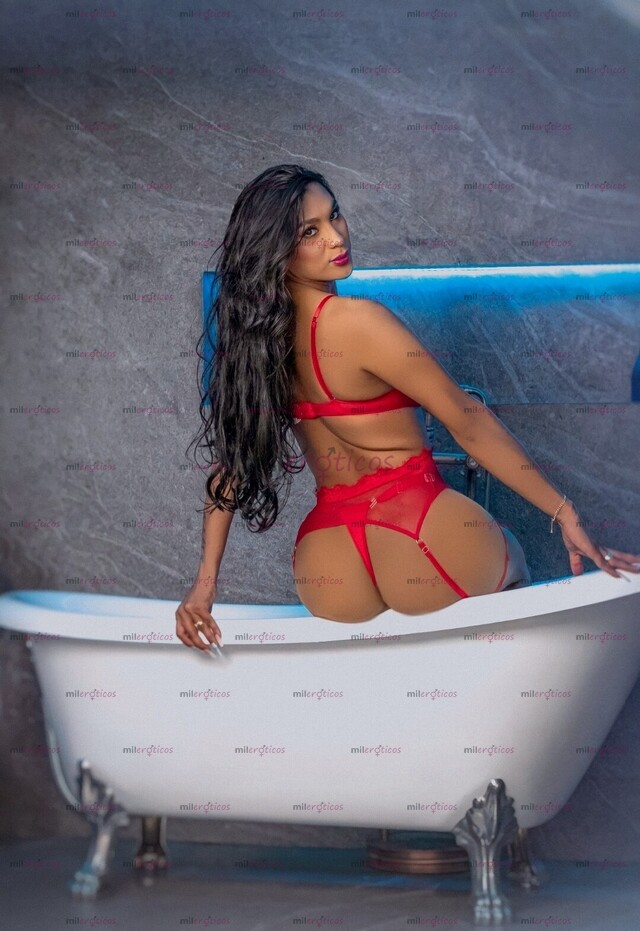 FOTOS DE EXÓTICA COLOMBIANA ESPECIALISTA EN NOVATOS 18 CM