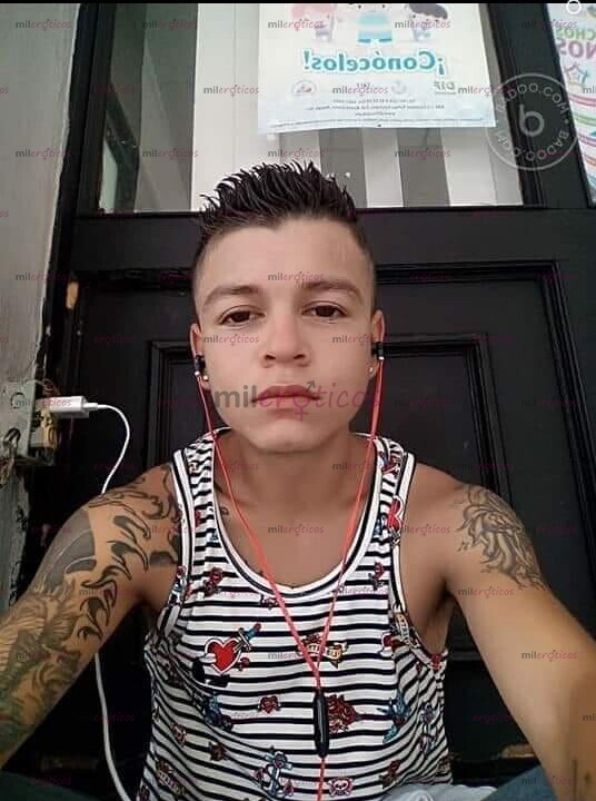 FOTOS DE CHACAL ROMPE PLIEGUES,, ÚNICOS DÍAS 20 CM