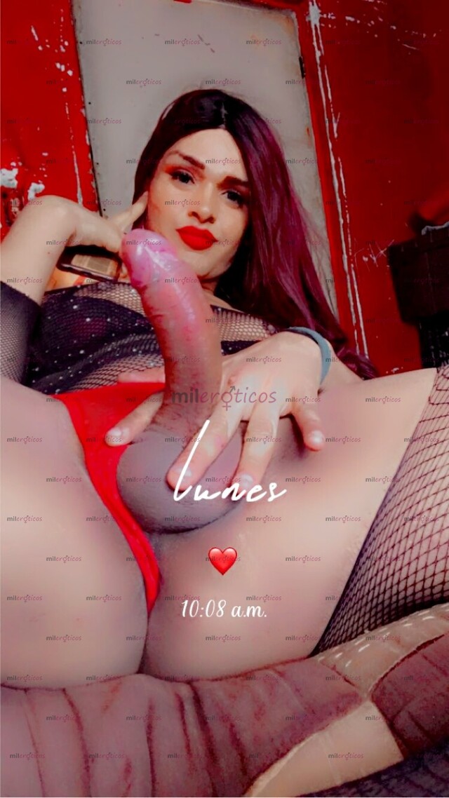 FOTOS DE CHICA TRANSEXUAL INTERACTIVA DISCRETA INFO POR WATTS APP