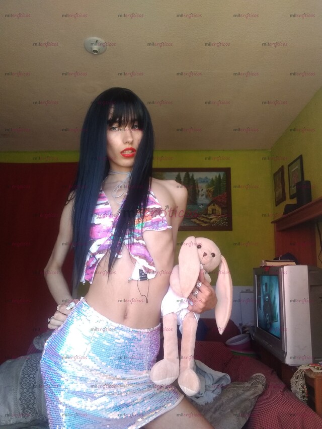 FOTOS DE SOY TU PUTITA DE 19 AÑOS. SOY UNA SEÑORITA QUE DISFRUTO MUCHO SER FOLLADA.