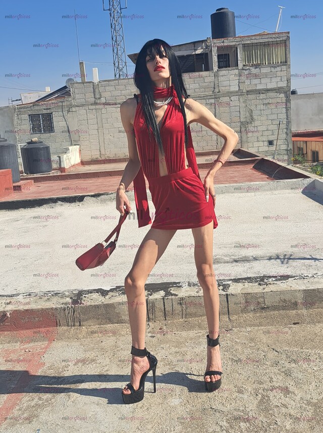 FOTOS DE SOY MUY SEDUCTORA CHICA TRANS 19 AÑOS AMOR. MUY ERÓTICA Y HERMOSA. LAS 24 HRS