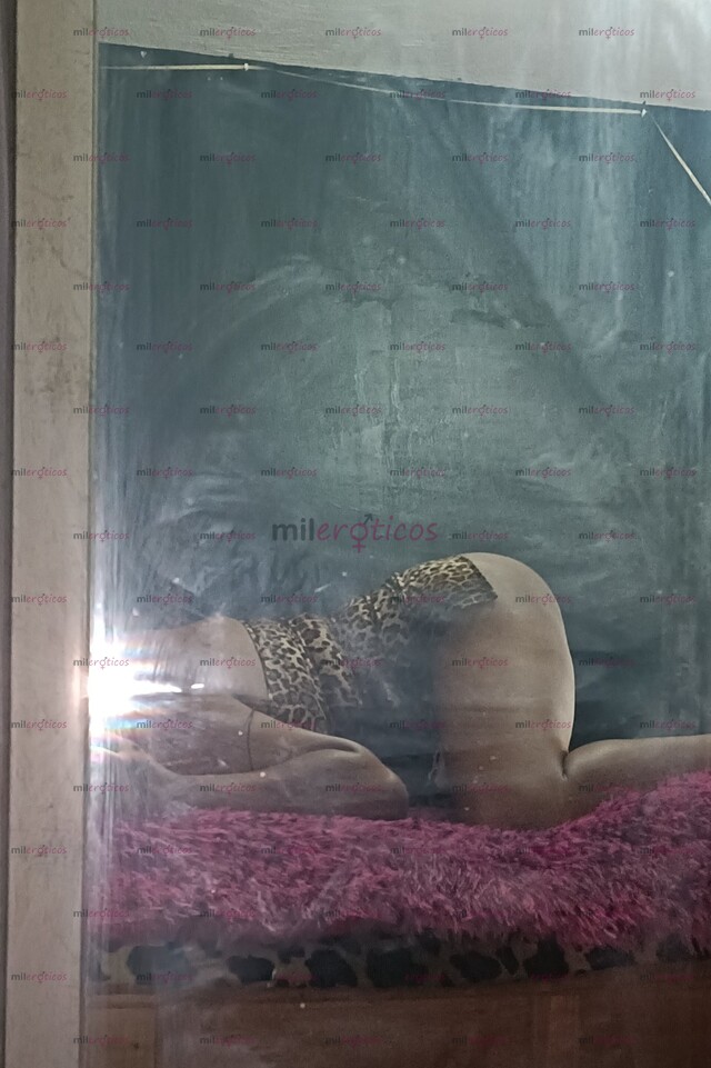 FOTOS DE EXUBERANTE TRAVESTI, SUMISA, PUTONA Y ELEGANTE.