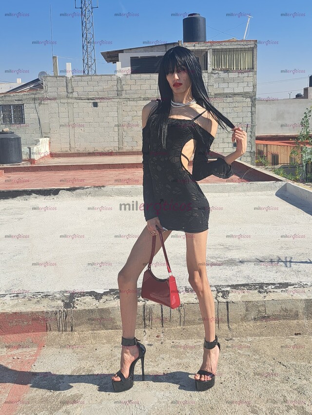 FOTOS DE MUCHO SEXO AMOR. JUVENTUD. KOTONOHA JEAN KATSURA. LAS 24 HORAS DEL DÍA AMOR.