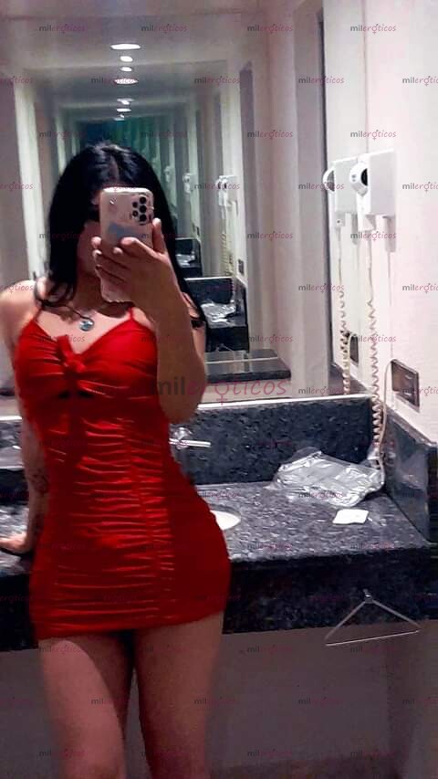 FOTOS DE TRANS TODO QUE VER EN TU CUIDAD CORTA TEMPORADA