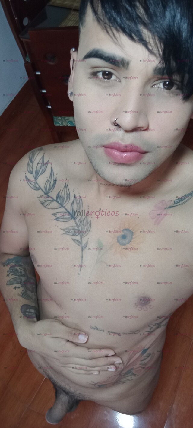 FOTOS DE EXPER EN PRIN . DESCOMPLICADO SUPER CACHONDO DISPONIBLE PARA TUS FANTASÍAS