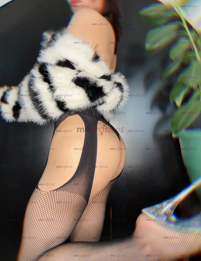 FOTOS DE HERMOSA TRANS, FLAQUITA, REAL, UNIVERSITARIA.