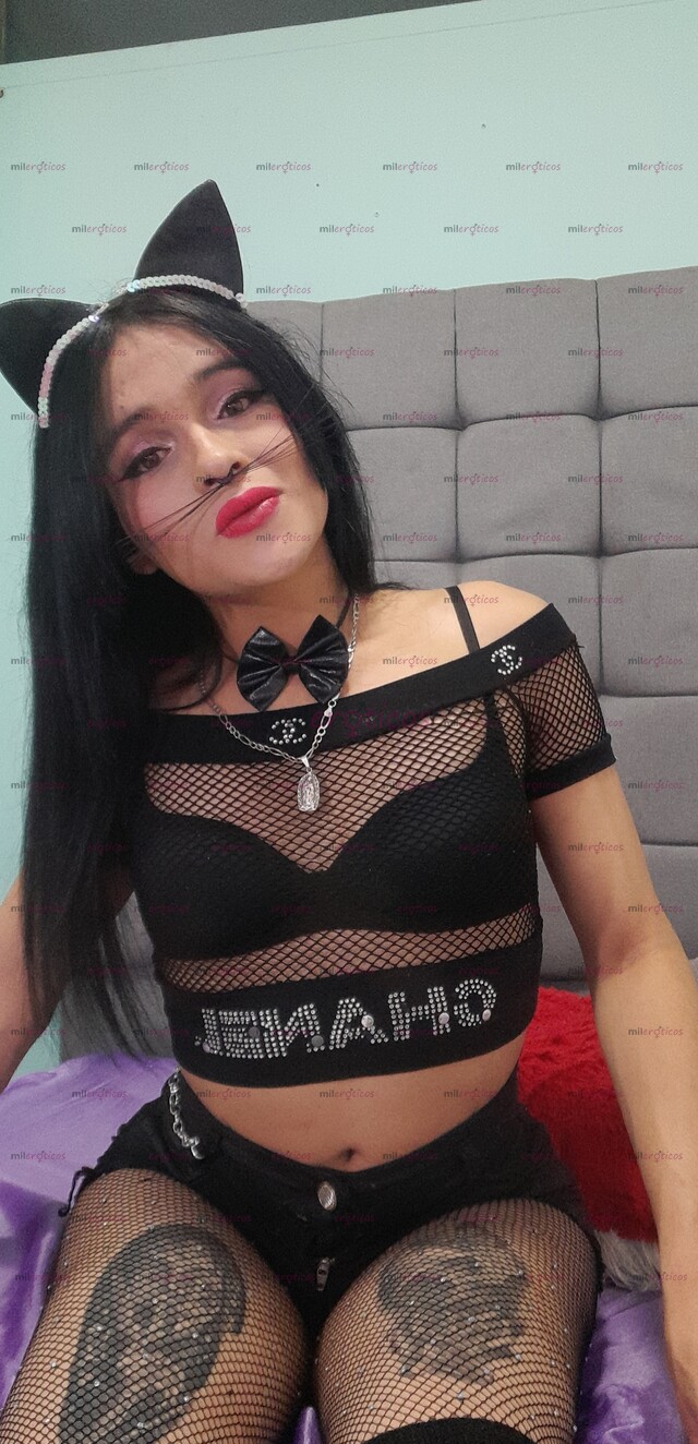FOTOS DE LINDA TRANS ARRECHITA, COMPLACIENTE Y SUMISA, BUENA COLA, BUENA VERGA..