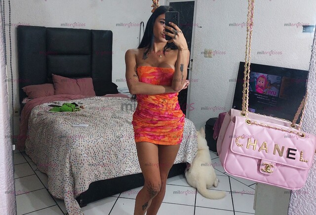 FOTOS DE DALILA DE REGRESO NUEVO NÚMERO ALISTA PARA DARTE VERGA