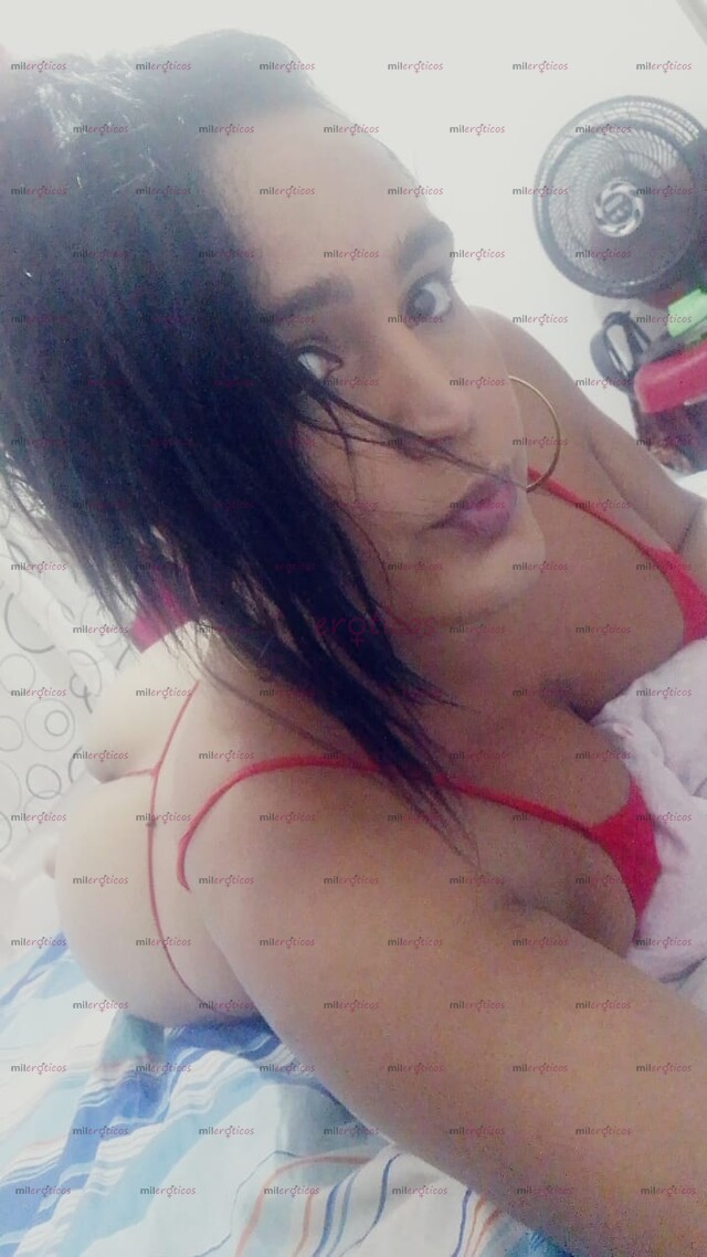 FOTOS DE PERRA CALIENTE Y DELICIOSA ESCRIBIR AL 3106082570