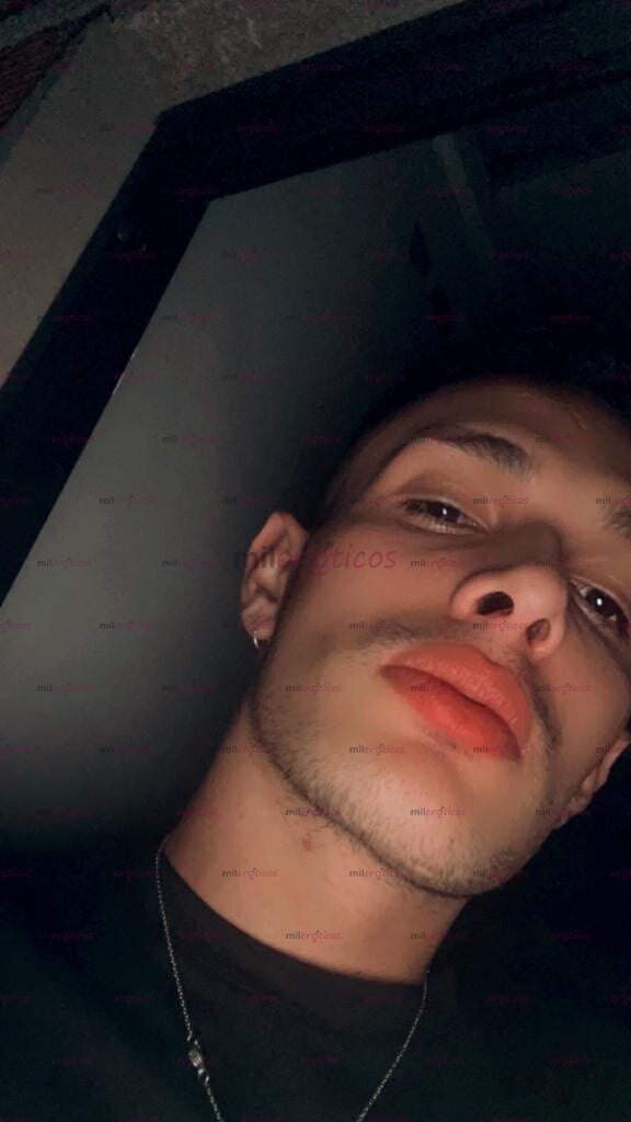 FOTOS DE POLLITO PINTA VERGON LECHERO CON BUEN PORTE Y BUEN CULO CON DISPONIBILIDAD