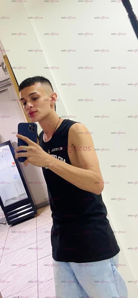 FOTOS DE POLLITO PINTA VERGON LECHERO CON BUEN PORTE Y BUEN CULO CON DISPONIBILIDAD