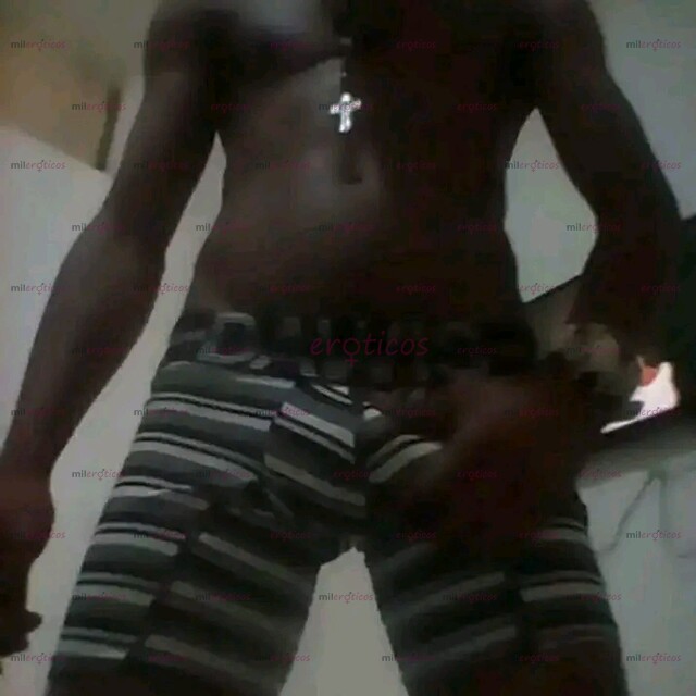 FOTOS DE NUEVO EN TU CUIDAD NEGRO VERGÓN LECHERO