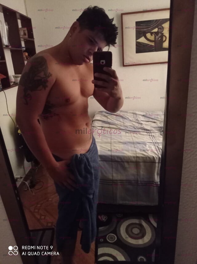 FOTOS DE DISPONIBLE MACHO RE VERGON 24 CM GRUESO LECHERO EN BOGOTÁ