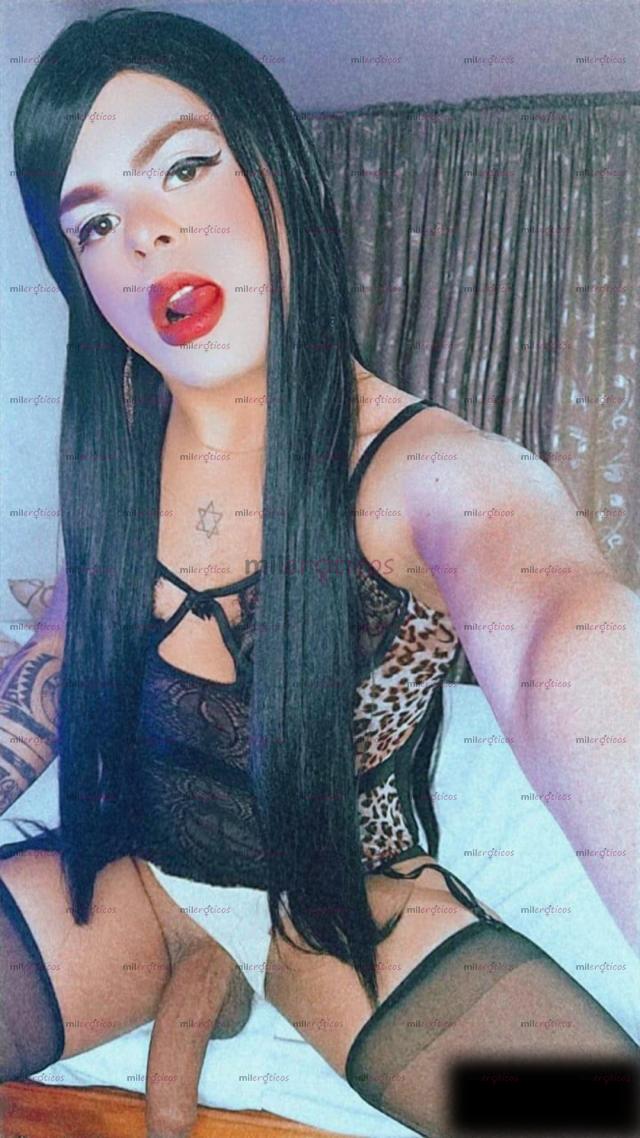 FOTOS DE CAJICA. VERGA 21 CMS MORBOSA PERRA ACTIVA Y PASIVA