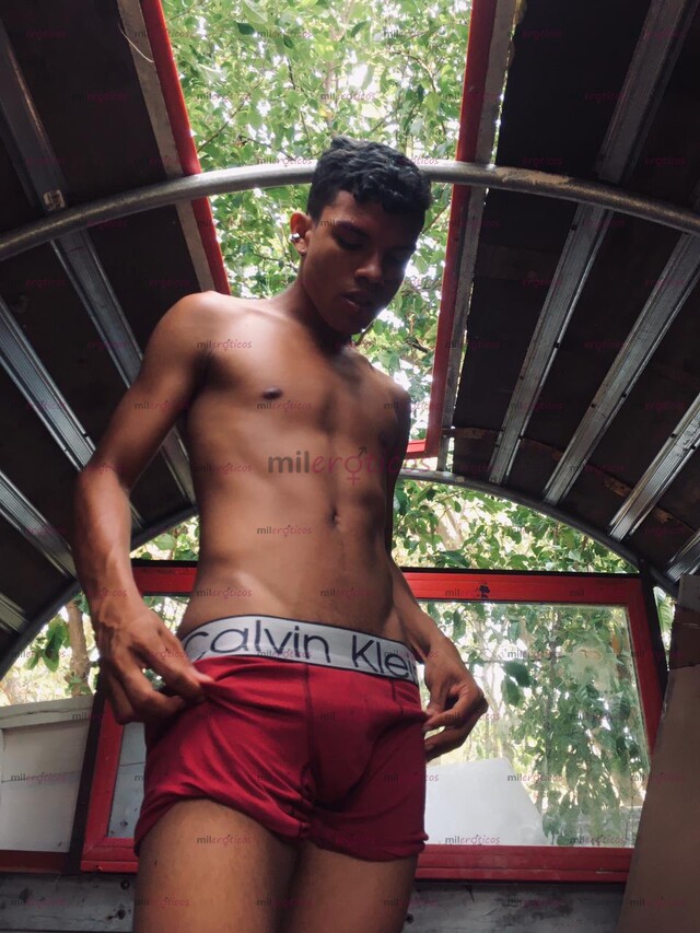 FOTOS DE POLLITO PASIVO DE REGRESO EN LA CIUDAD EN BUSCA DE SOLVENTES