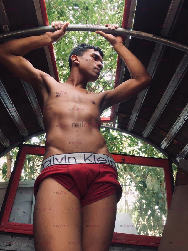 FOTOS DE POLLITO PASIVO DE REGRESO EN LA CIUDAD EN BUSCA DE SOLVENTES