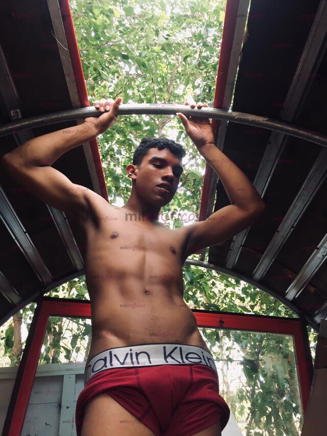 FOTOS DE POLLITO PASIVO DE REGRESO EN LA CIUDAD EN BUSCA DE SOLVENTES