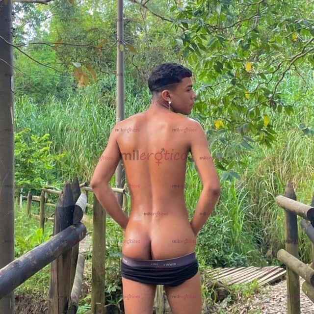 FOTOS DE POLLITO PASIVO DE REGRESO EN LA CIUDAD EN BUSCA DE SOLVENTES