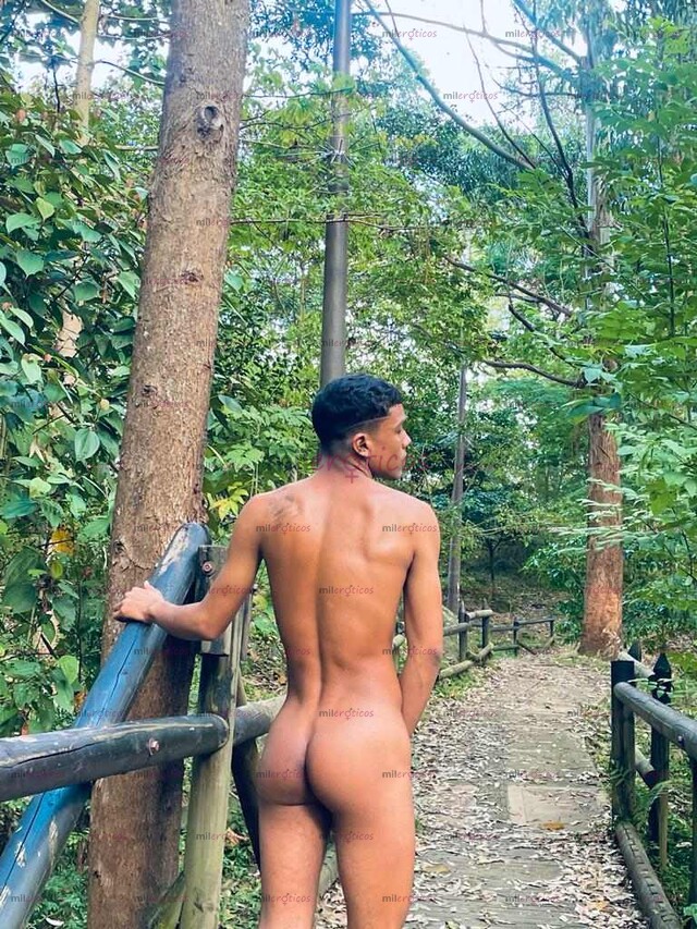 FOTOS DE POLLITO PASIVO DE REGRESO EN LA CIUDAD EN BUSCA DE SOLVENTES