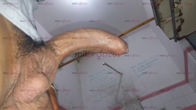 FOTOS DE VERGÓN LECHERO 21 CTM REALES PARA TU CULITO